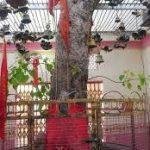 Baba Mandir, Hardoi3, Baba Mandir,  Hardoi