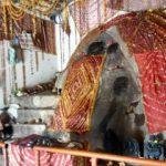 Bhairamdev Temple, Bijapur4, Bhairamdev Temple, Bijapur