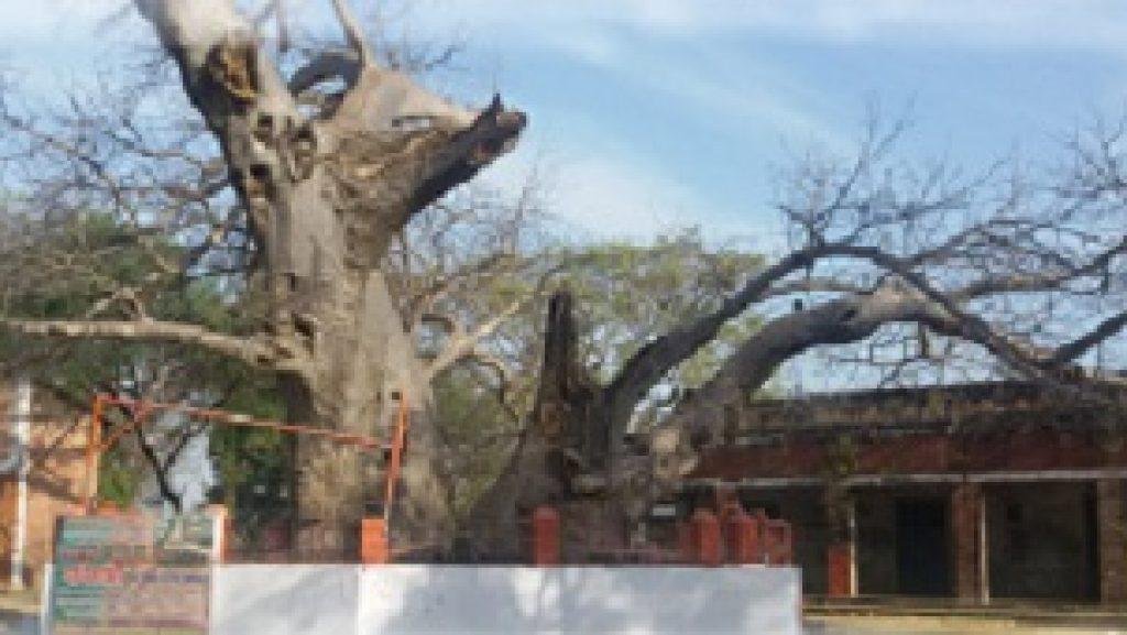 Dhopap Temple3, Dhopap Temple, Sultanpur