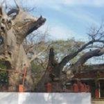 Dhopap Temple3, Dhopap Temple, Sultanpur