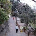 Gufa Mandir, Bhopal5, Gufa Mandir, Bhopal