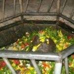 Itahiya Shiv Mandir1, Itahiya Shiv Temple, Maharajganj