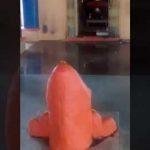 Kewada Swami Bhairavnath Temple2, Kewada Swami Bhairavnath Temple, Agar Malwa