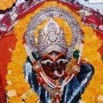 Ma Sharda Mata, Satna8, Ma Sharda Mata, Satna