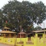 Maa Majhighariani Temple, Rayagada4