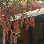 Mahamaya Temple, Mahamaya Temple, Surajpur