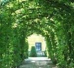 Muktabai5, Saint Muktabai Temple, Jalgaon