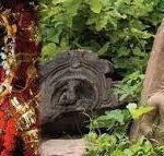 Mundeshwari Temple, Kaimur6, Mundeshwari Temple, Kaimur