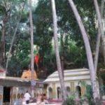 Narayani devi Temple1, Narayani devi Temple, Ganjam