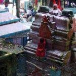 Narayani devi Temple3, Narayani devi Temple, Ganjam