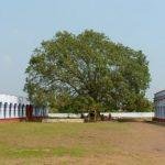 Paandu-Ranga Swami Temple - Machilipatnam1