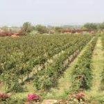 Ram Kund, Nashik2.1, Ram Kund, Nashik