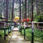 Tarkeshwar Mahadev Temple, Pauri Garhwal2