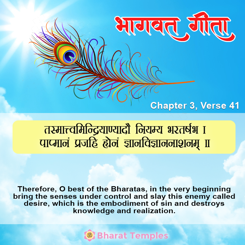 41 (3), Bhagavad Gita: Chapter 3, Verse 41