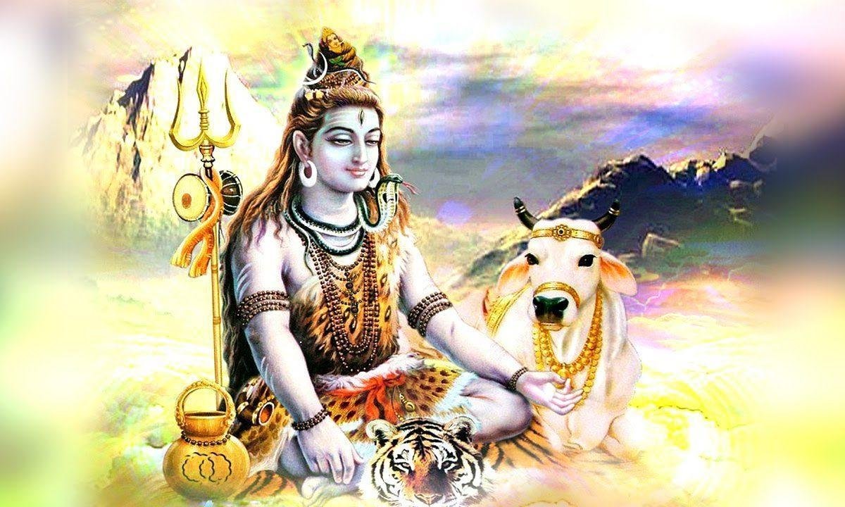 हरी हरी भांग का मजा लीजिये भजन Lyrics, Video, Bhajan, Bhakti Songs