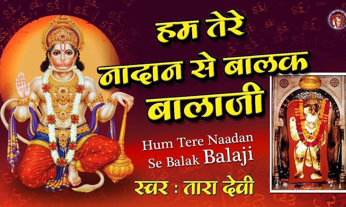 हम तेरे नादान से बालक तुम दया के सागर हो Lyrics, Video, Bhajan, Bhakti Songs