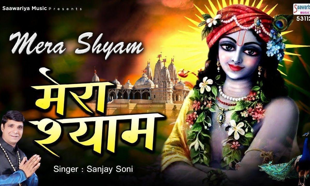 मेरा श्याम तू अकेला लाखों तेरे दीवाने भजन Lyrics, Video, Bhajan, Bhakti Songs