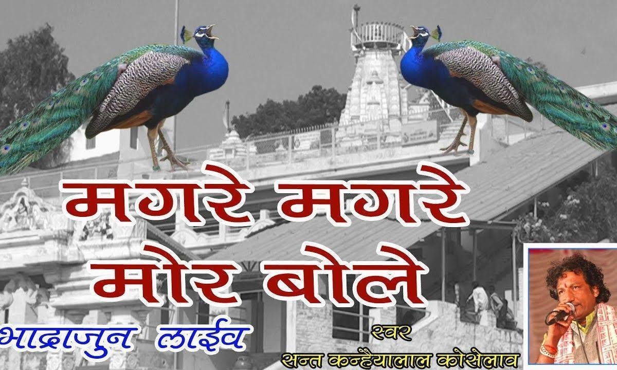 मगरे मगरे मोर बोले धोरां मे बोले ढेल जानो मेला में Lyrics, Video, Bhajan, Bhakti Songs