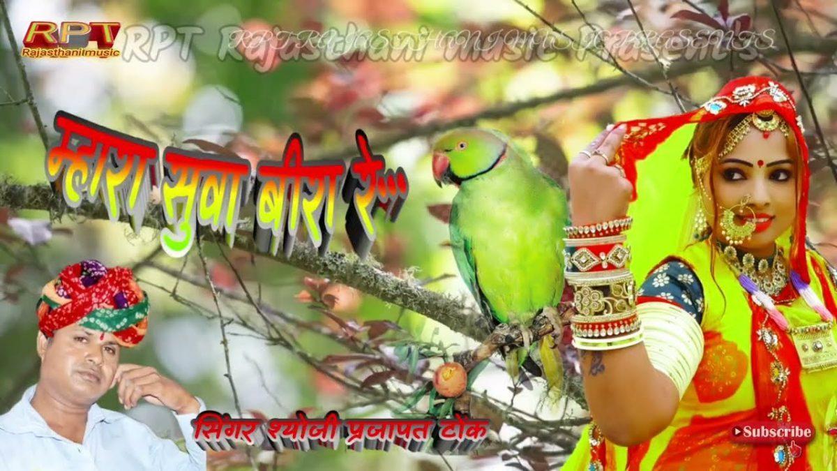 म्हारा सुवा बीरा रे बाबुल म्हारो साधु होग्यो रे Lyrics, Video, Bhajan, Bhakti Songs