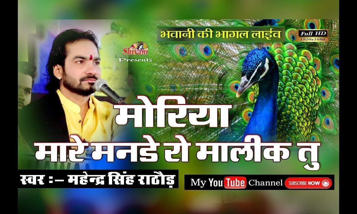 म्हारे मनडे रो मालिक तू माता भजन Lyrics, Video, Bhajan, Bhakti Songs