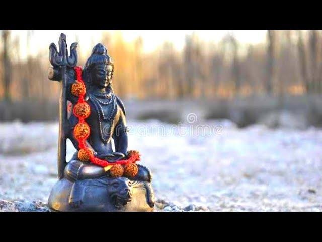भोले बाबा तुम्हारा मैं दीवाना भजन Lyrics, Video, Bhajan, Bhakti Songs
