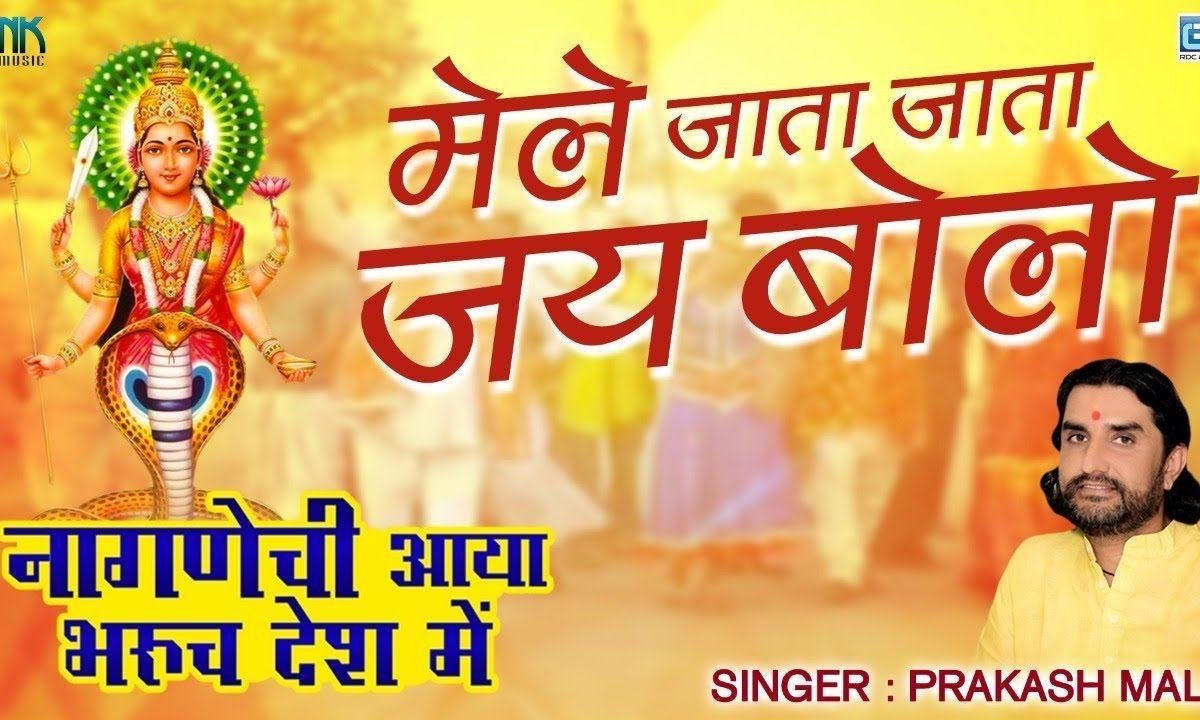 मेले जाता जाता जय बोलो नागणेच्या माता की Lyrics, Video, Bhajan, Bhakti Songs