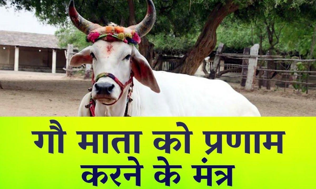 अंग अंग में गौ माता के सब देवों का धाम है Lyrics, Video, Bhajan, Bhakti Songs