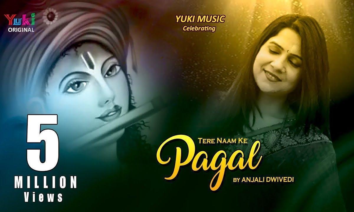 तेरे नाम के पागल है हमें दुनिया की परवाह नहीं भजन Lyrics, Video, Bhajan, Bhakti Songs