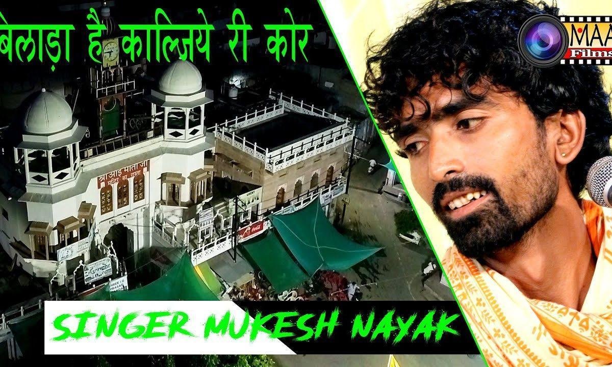 म्हारो बिलाड़ो है कालजीया री कोर मानीजे आका देश में Lyrics, Video, Bhajan, Bhakti Songs