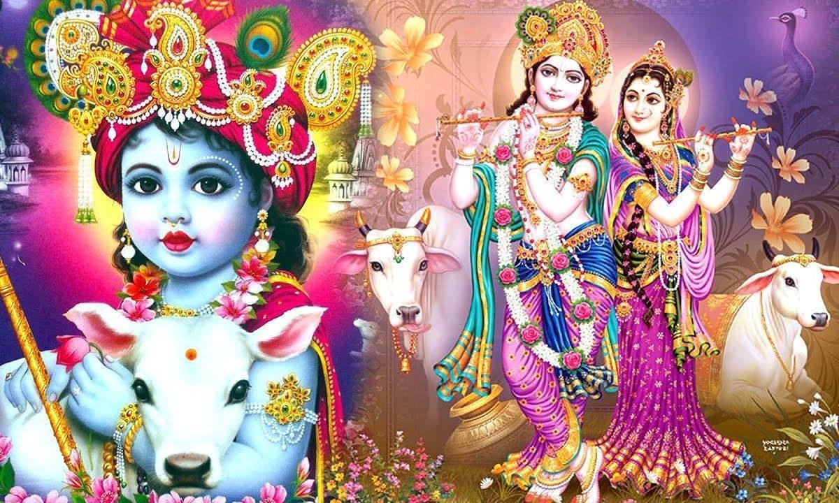 बंसी बाजी रे जमुना की ओर कान्हा ने आज रास रचायो Lyrics, Video, Bhajan, Bhakti Songs