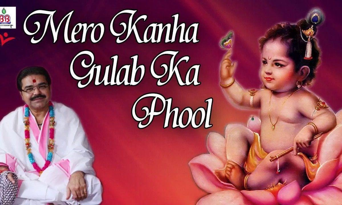 मेरो कान्हा गुलाब को फूल किशोरी मेरी कुसुम कली Lyrics, Video, Bhajan, Bhakti Songs