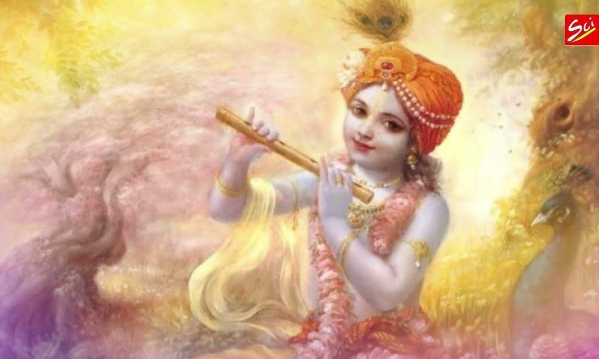 देर से आने की तेरी आदत बाबा बहुत पुरानी है भजन Lyrics, Video, Bhajan, Bhakti Songs