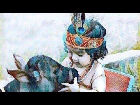 जलवा है चारों ओर हमारे ही श्याम का भजन Lyrics, Video, Bhajan, Bhakti Songs