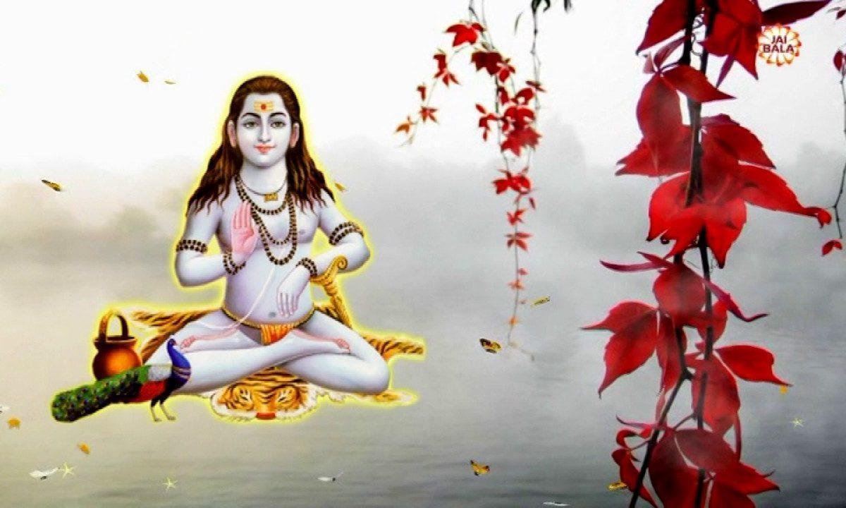 हर साह च लवा मैं तेरा ना | Lyrics, Video | Baba Balak Nath Bhajans