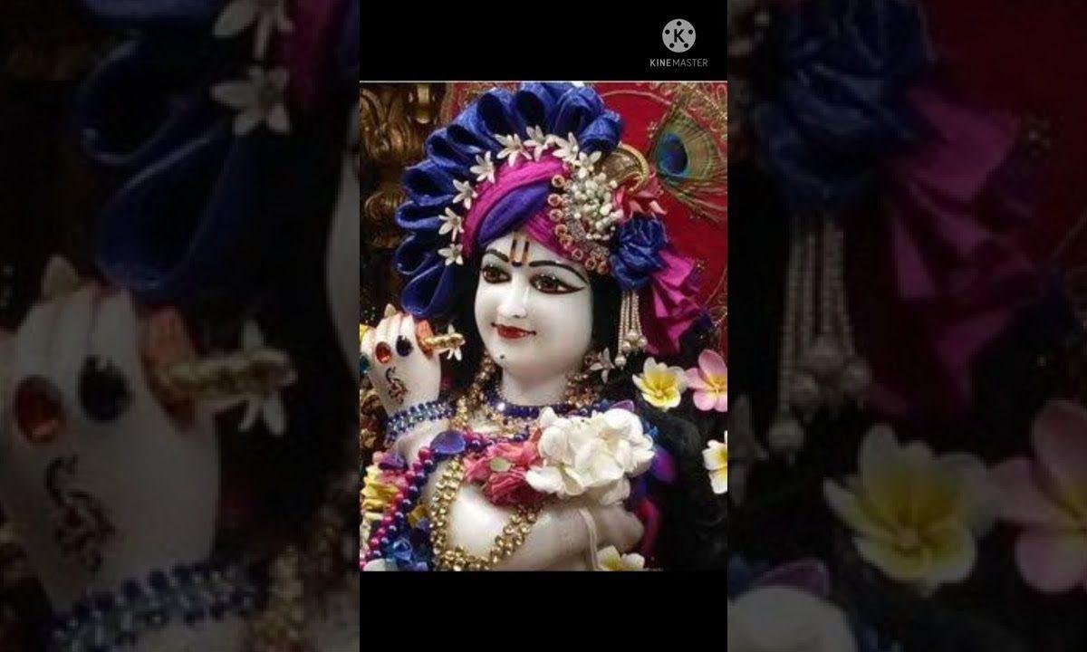 मेरे मन बस गयो रे सांवरिया गिरधारी Lyrics, Video, Bhajan, Bhakti Songs