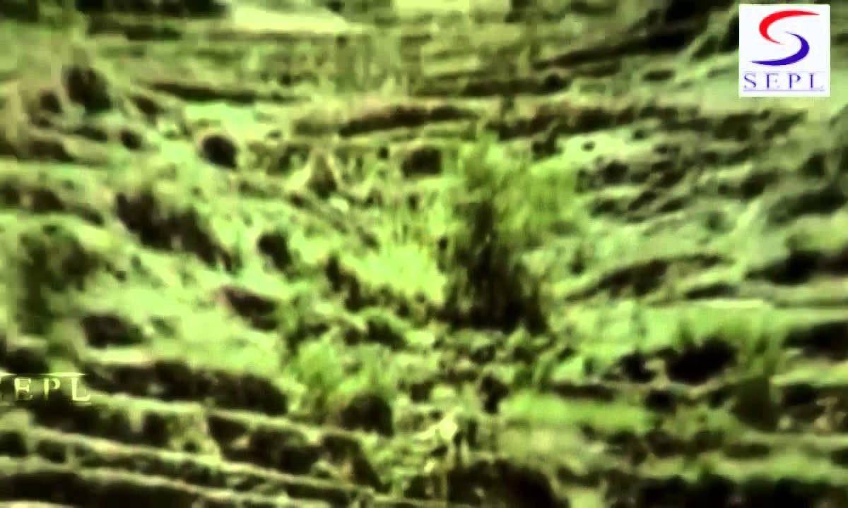 बस यही अरदास माँ हर बार करता हूँ Lyrics, Video, Bhajan, Bhakti Songs