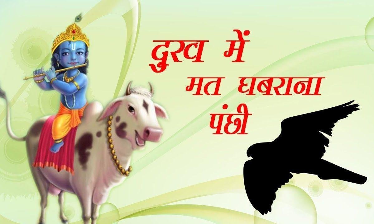 दुःख से मत घबराना पंछी ये जग दुःख का मेला है भजन Lyrics, Video, Bhajan, Bhakti Songs