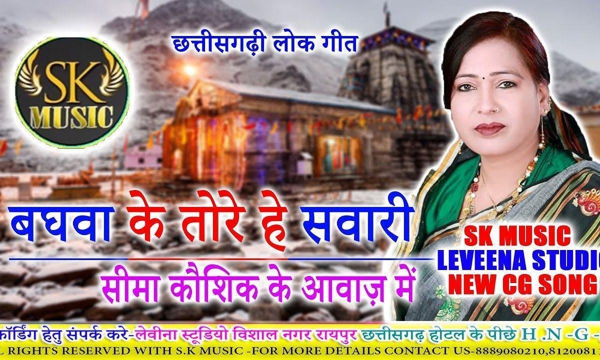 बघवा के हावय तोर सवारी | Lyrics, Video | Durga Bhajans