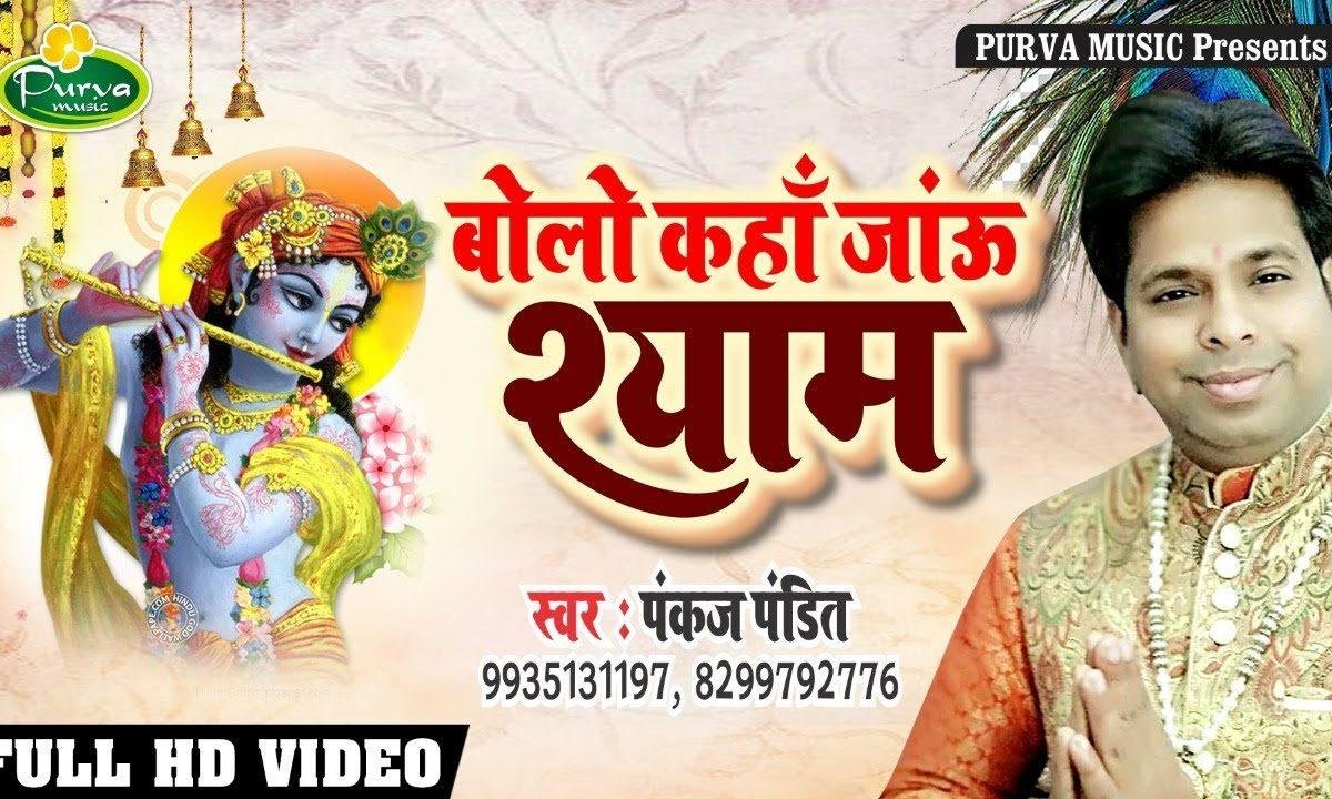 बोलो कहा मैं जाओ तुझे देखने के बाद | Lyrics, Video | Khatu Shaym Bhajans
