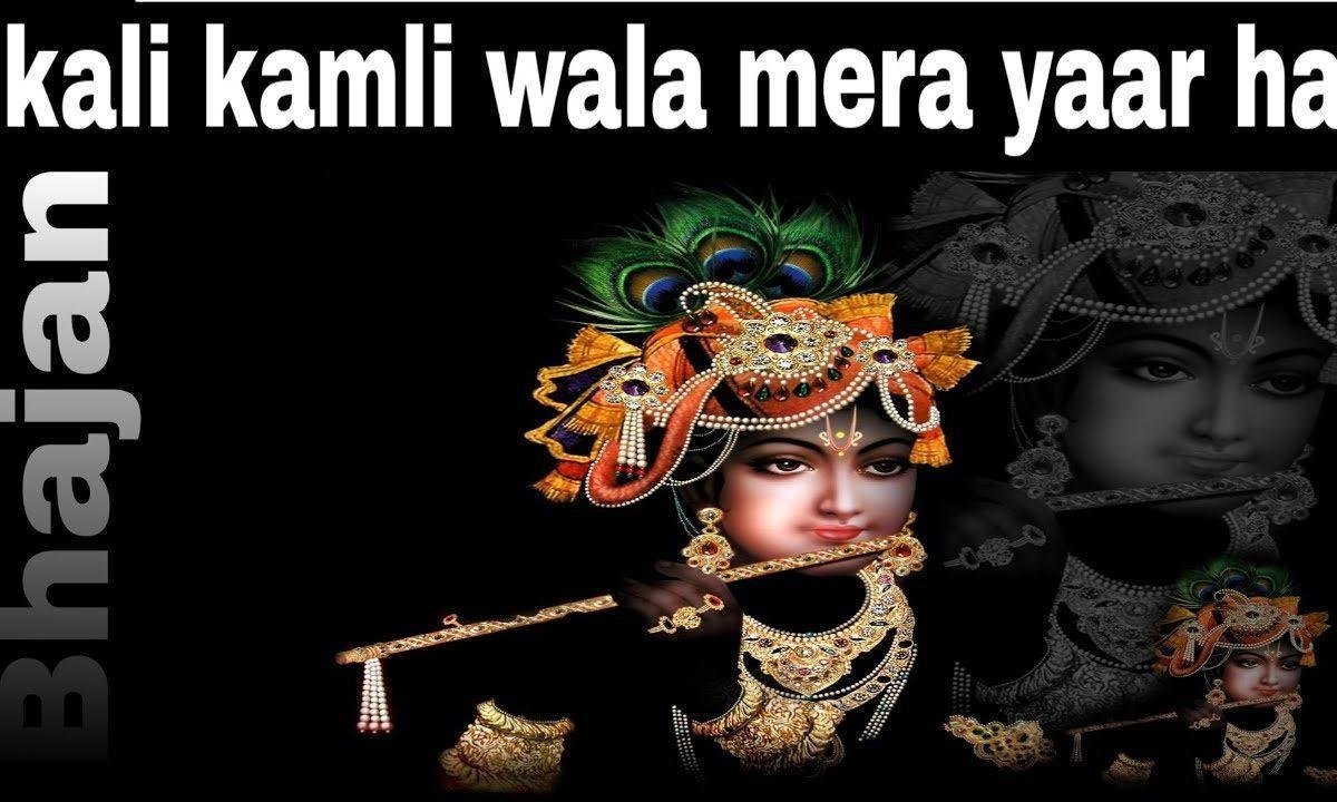 हरी मैं तेरा तू है हमारा | Lyrics, Video | Krishna Bhajans