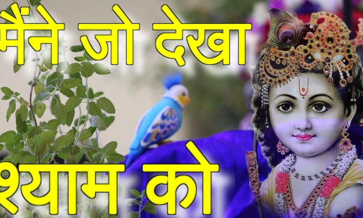 मैंने जो देखा श्याम को दीवाना हो गया | Lyrics, Video | Krishna Bhajans