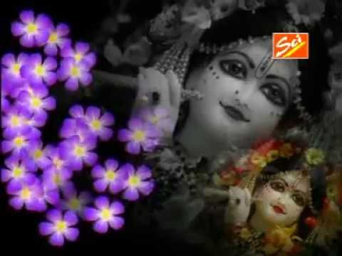 तेरे रूप ने निरखंगा बाबा | Lyrics, Video | Khatu Shaym Bhajans