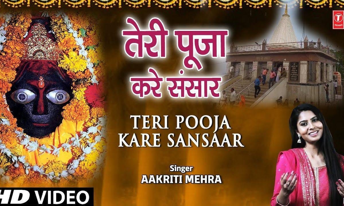 तेरी पूजा करे संसार | Lyrics, Video | Durga Bhajans