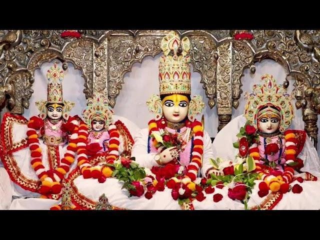 चलो री सखी वृन्दावन को आज | Lyrics, Video | Krishna Bhajans