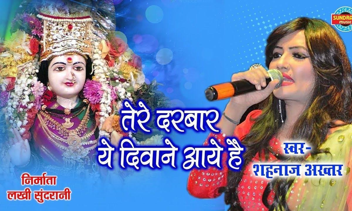 मेरी मैया तेरे दीवाने आये है | Lyrics, Video | Durga Bhajans