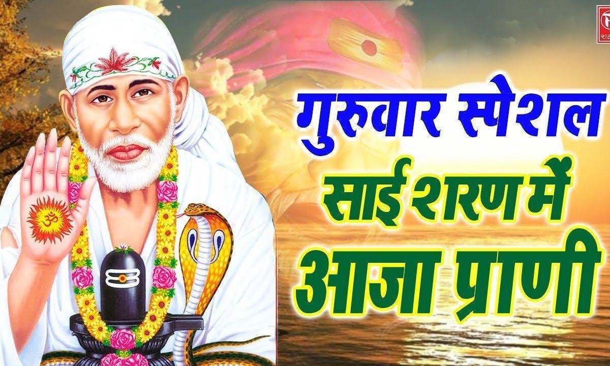 साई शरण में आजा प्राणी क्यों बरमाया है | Lyrics, Video | Sai Bhajans