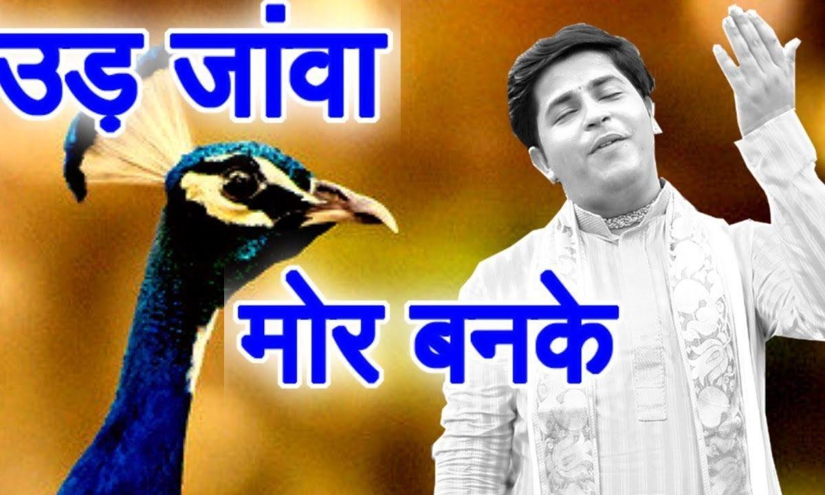 उड़ जावा मोर बन के | Lyrics, Video | Krishna Bhajans