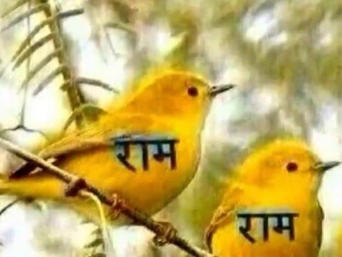 हमसे भली जंगल की चिड़ियाँ | Lyrics, Video | Miscellaneous Bhajans