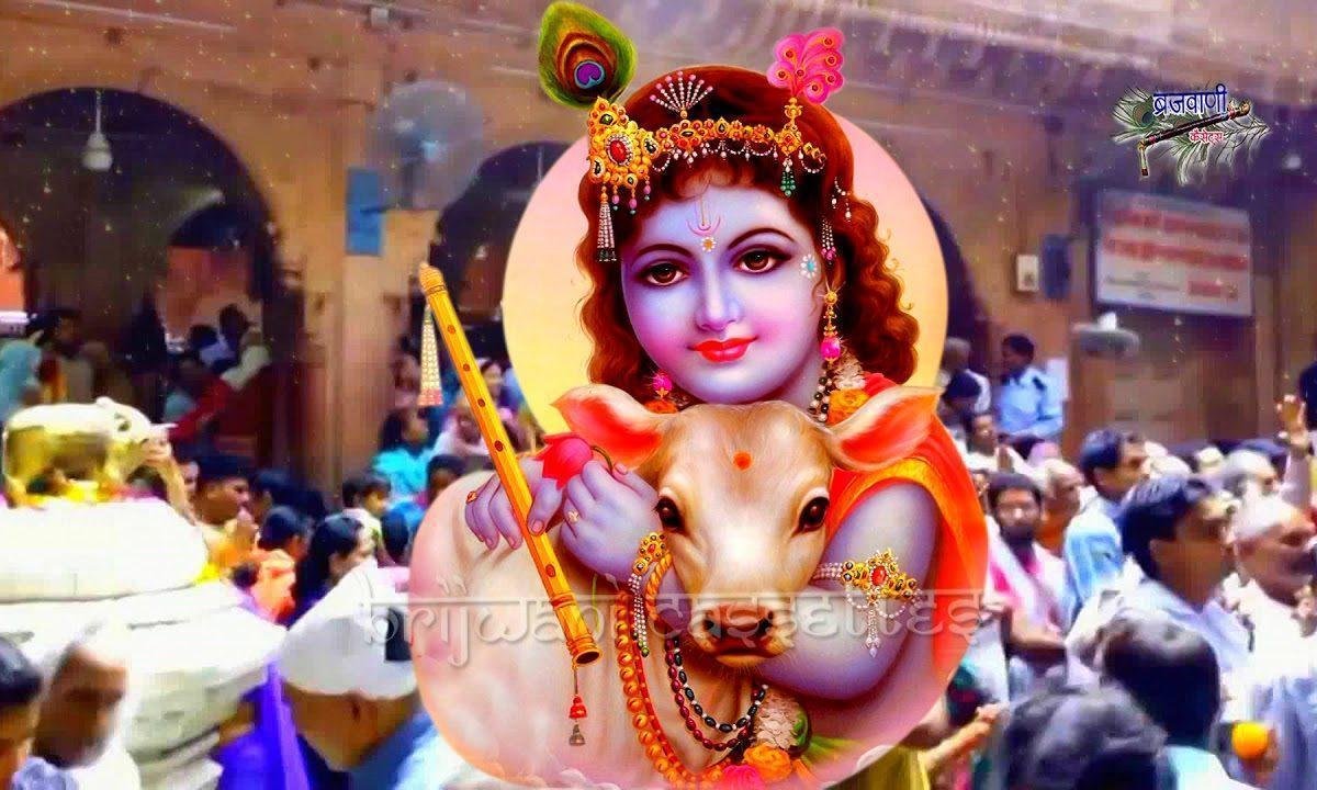 जीवन में जब जब दुःख आये | Lyrics, Video | Krishna Bhajans