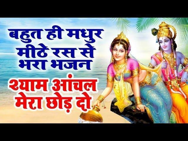 श्याम आंचल मेरा छोड़ दो इस घडी | Lyrics, Video | Krishna Bhajans